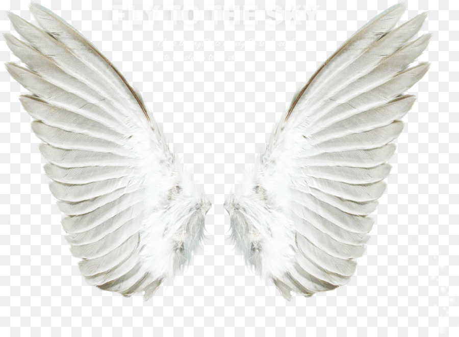 Angel Clip art - Angel wings png download - 2417*1760 - Free Transparent Angel png Download.