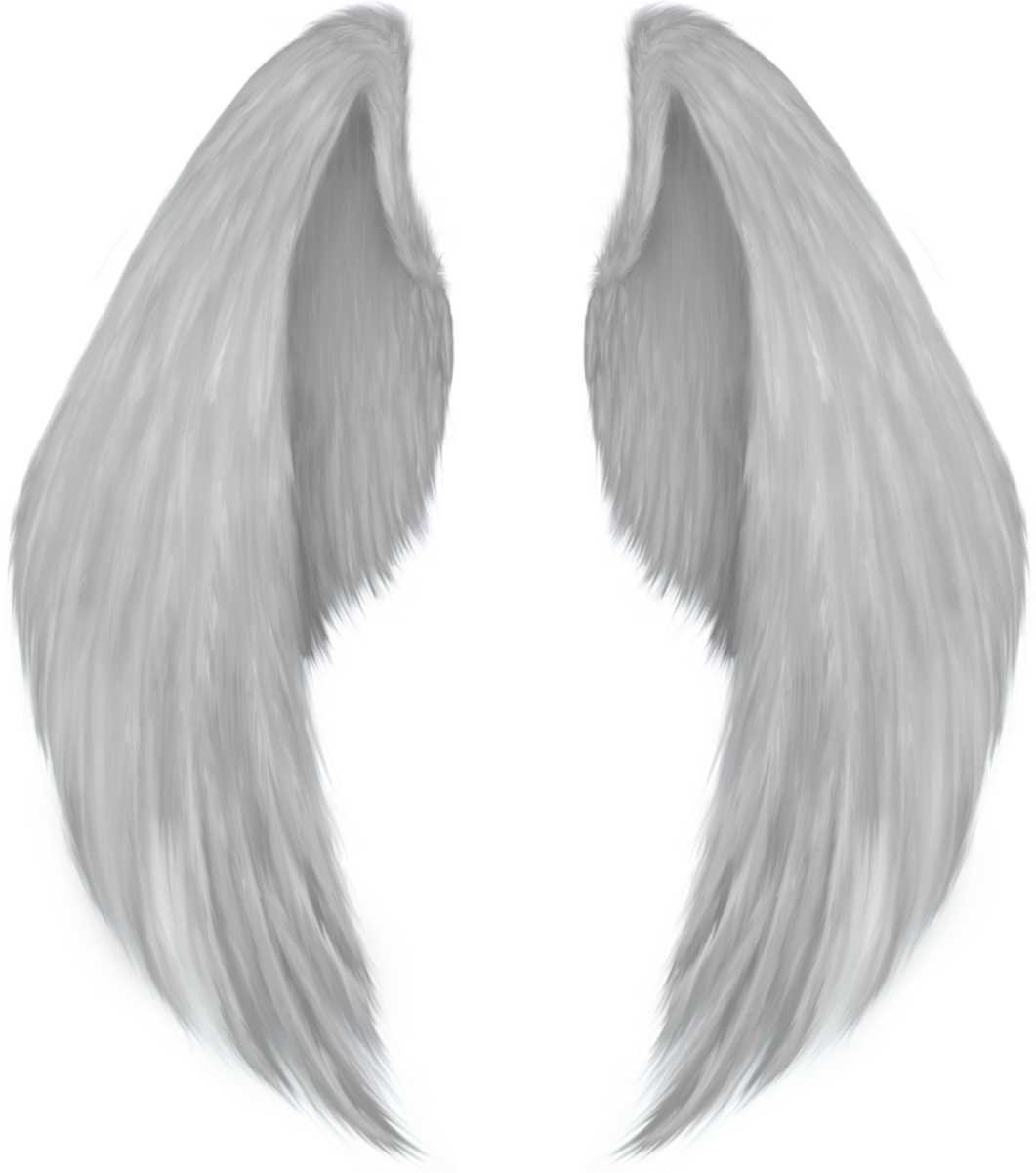Angel wing Drawing - wings png download - 1061*1201 - Free Transparent ...
