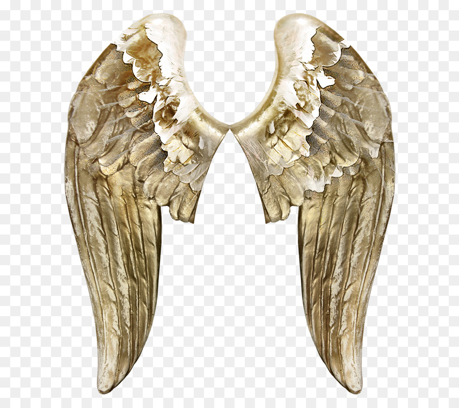Angels Wing Butterfly - Angel wings png download - 700*799 - Free Transparent Angels png Download.