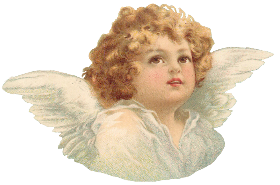 Cherub Angel Angel Png Download 982648 Free Transparent Cherub