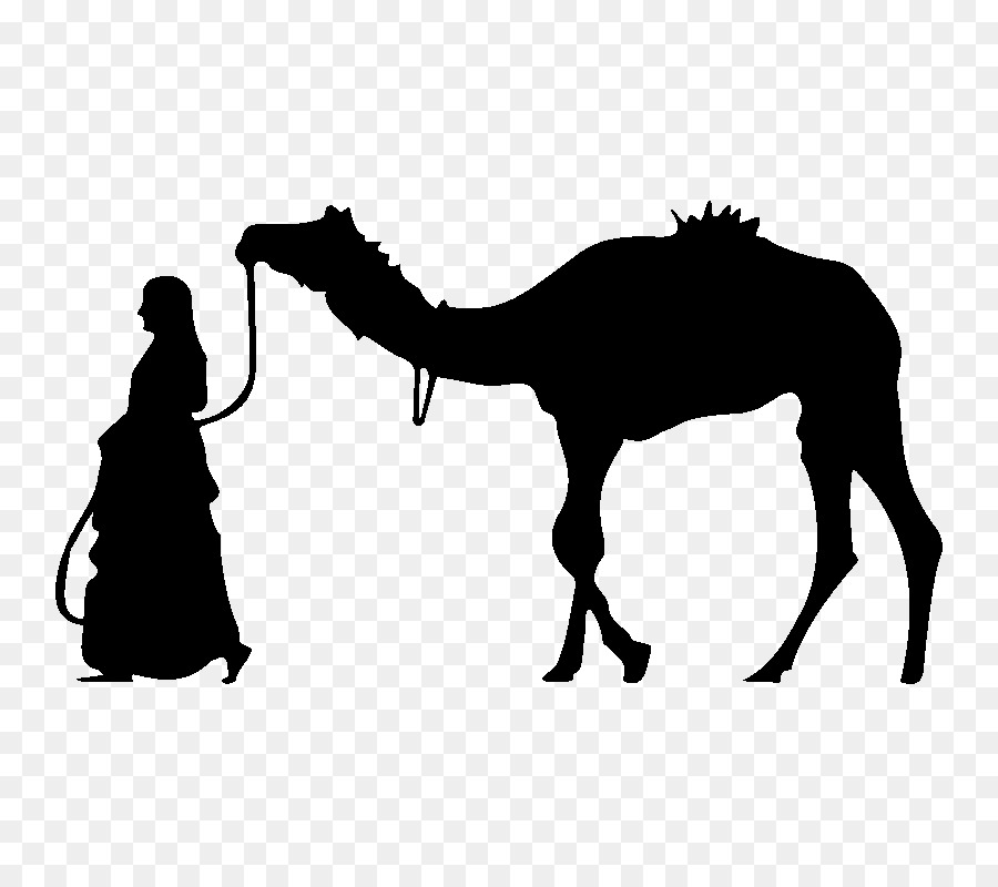Camel Saatchi Art Painting Illustration - afrique silhouette png download - 800*800 - Free Transparent Camel png Download.