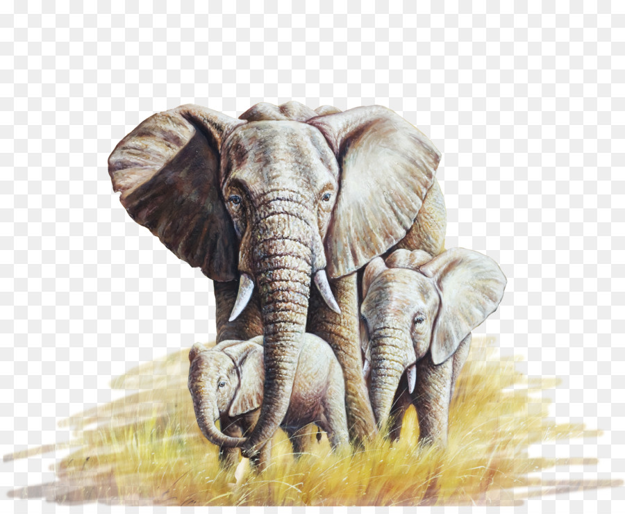African elephant Oil painting Canvas - Oil elephant elephant png download - 1892*1535 - Free Transparent African Elephant png Download.