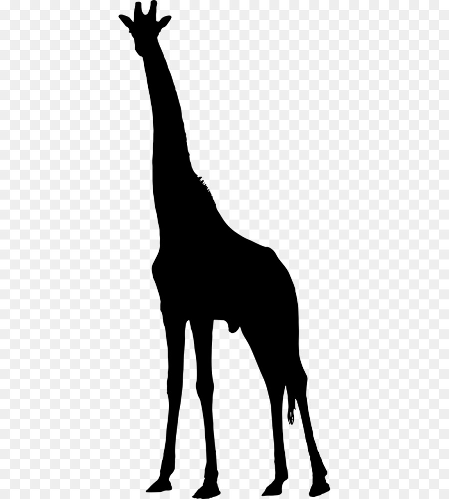 Portable Network Graphics Clip art Vector graphics Silhouette Drawing - animal silhouettes png giraffe png download - 500*1000 - Free Transparent Silhouette png Download.