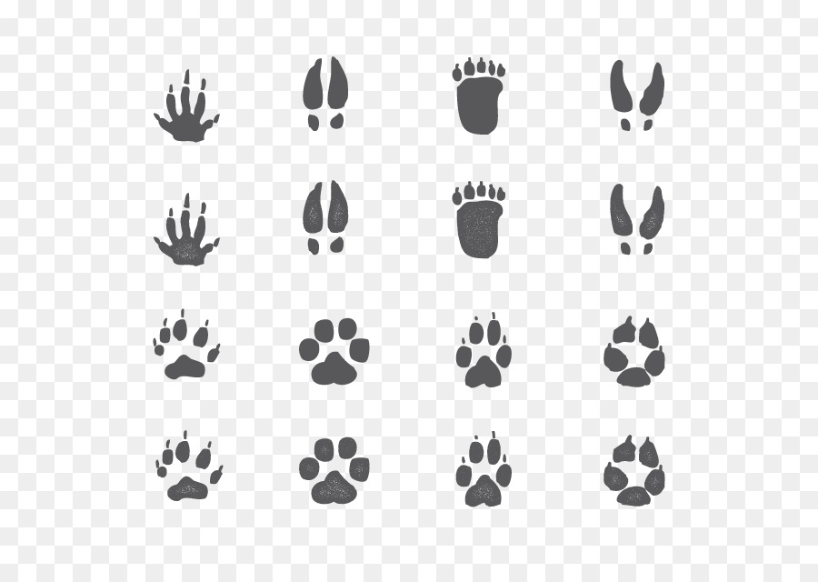 Animal Poster Illustration - Vector Animal footprints png download - 626*626 - Free Transparent Animal png Download.