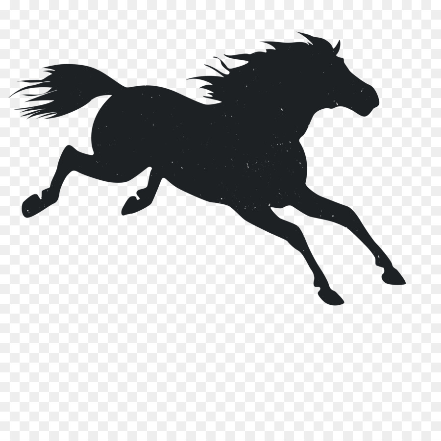 Mustang Pony Animal - Animal Silhouettes png download - 3600*3600 - Free Transparent Mustang png Download.