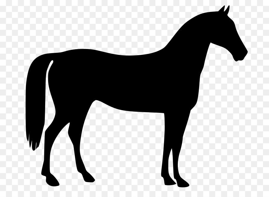 Mustang Stallion Clip art - pony vector png download - 800*657 - Free Transparent Mustang png Download.