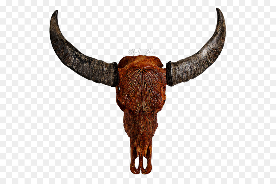 Cattle Horn Animal Skulls Bison - buffalo skull png download - 600*600 - Free Transparent Cattle png Download.