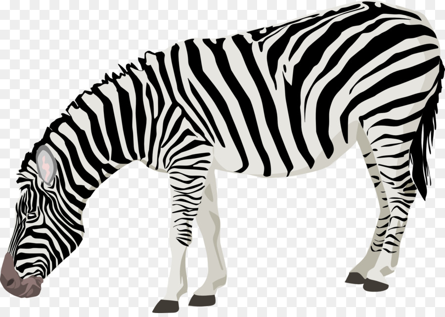 Animals Black and White Clip art - zebra png download - 1920*1349 - Free Transparent Animal png Download.