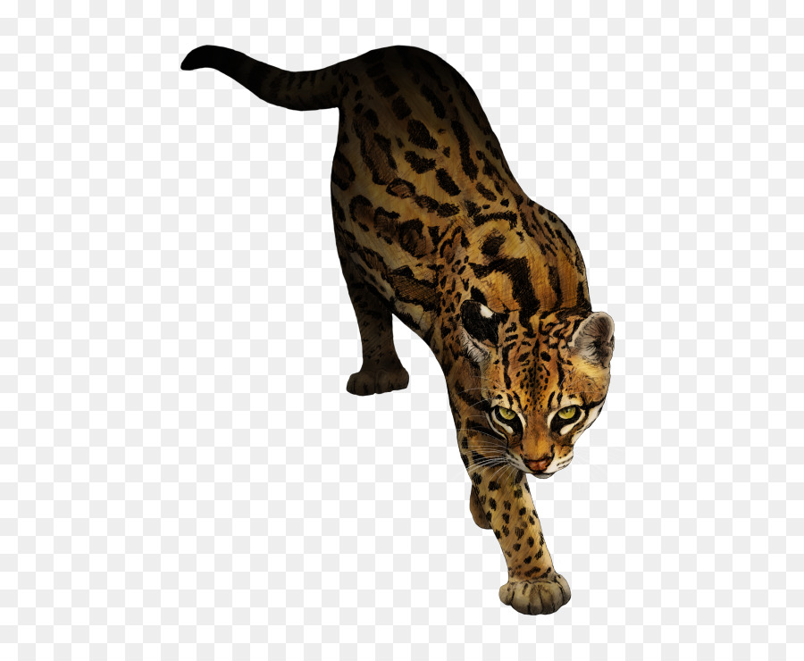 Ocelot Marbled cat Animal Rottweiler - mew png download - 529*728 - Free Transparent Ocelot png Download.
