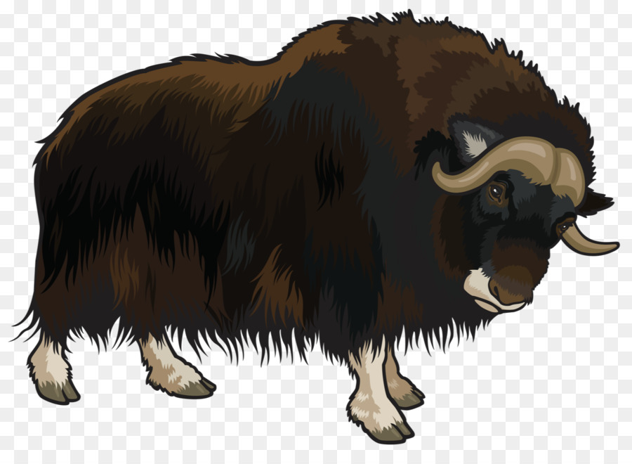 Domestic yak Clip art - Buffalo animal png download - 1331*954 - Free Transparent Domestic Yak png Download.