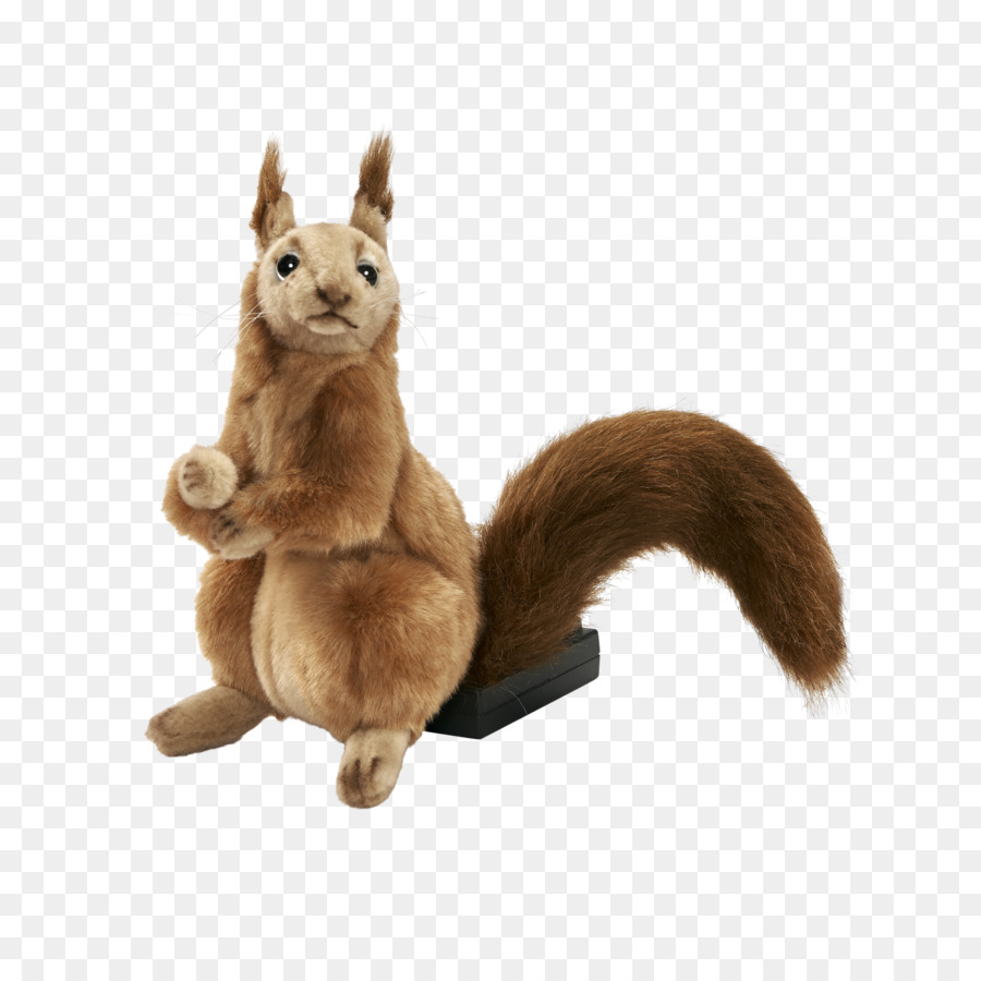 Squirrel Stuffed Animals & Cuddly Toys - squirrel png download - 2048*2048 - Free Transparent Squirrel png Download.