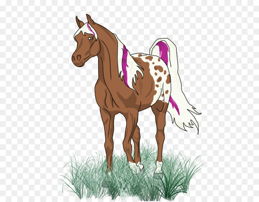 Foal Pony Colt Art - land animals png download - 521*697 - Free Transparent Foal png Download.