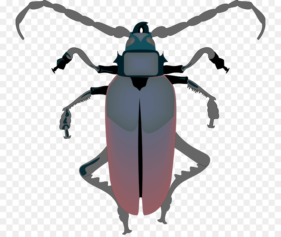 Cockroach Download Clip art - Free Insect Photos png download - 800*753 - Free Transparent Cockroach png Download.
