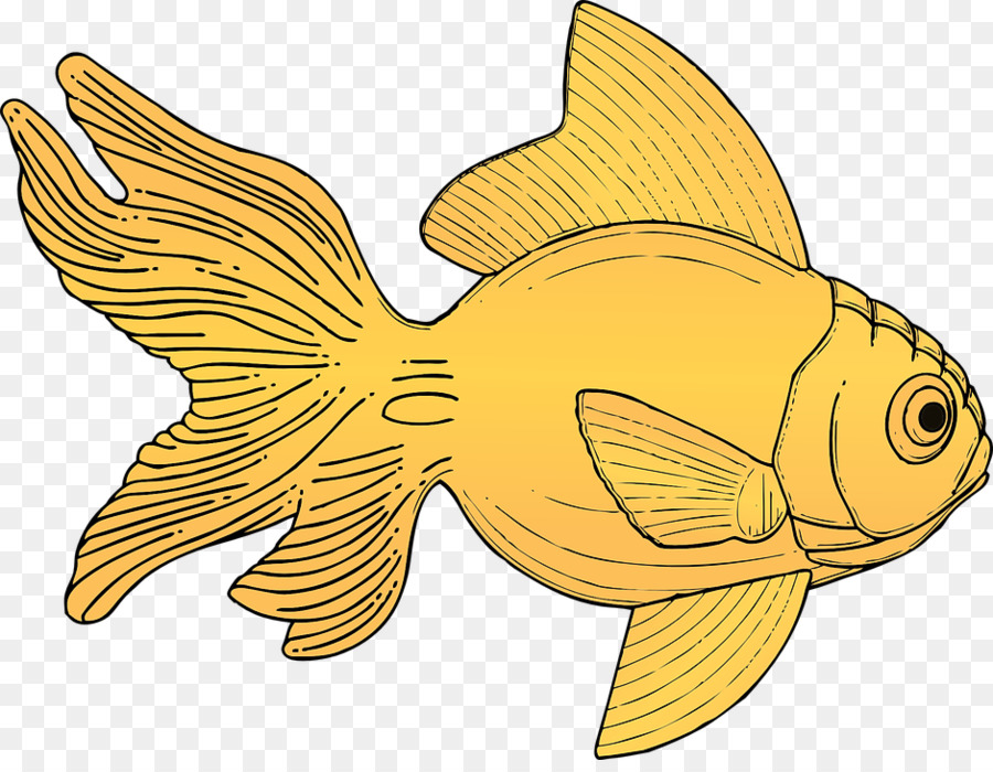 Goldfish Clip art - fish png download - 940*720 - Free Transparent Goldfish png Download.