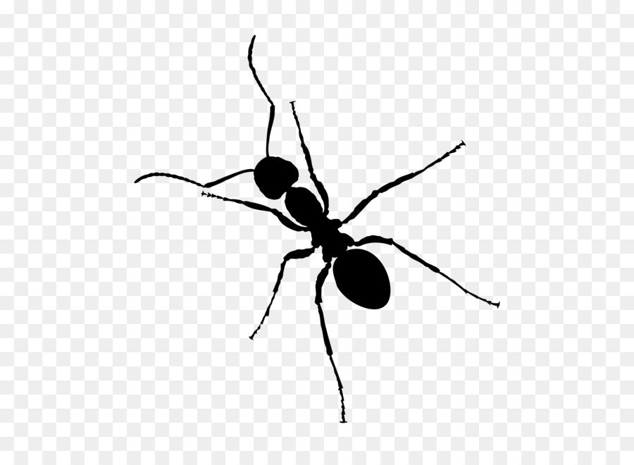 Ant Zap Black and white Insect - ant PNG png download - 2400*2400 - Free Transparent Ant png Download.
