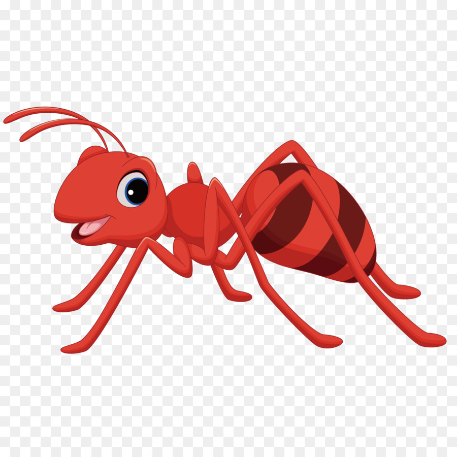 Ant Cartoon Clip art - Red Ants png download - 1276*1276 - Free Transparent Ant png Download.