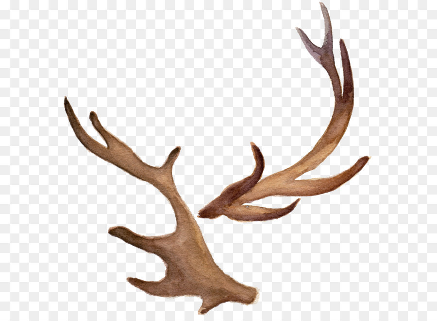 Antler Icon - Hand-painted watercolor antlers png download - 3000*3000 - Free Transparent Deer png Download.