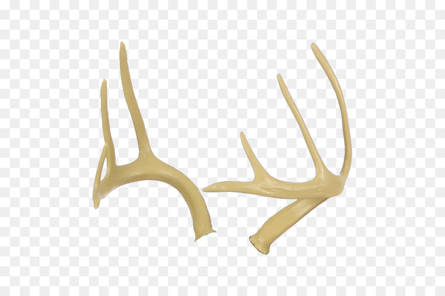 Antler Fallow deer Elk Horn - deer antlers png download - 600*600 - Free Transparent Antler png Download.
