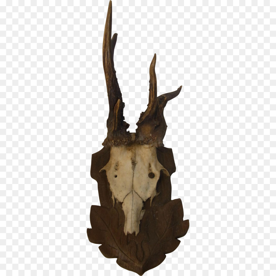 Deer Trophy hunting Horn - antlers png download - 1910*1910 - Free Transparent Deer png Download.