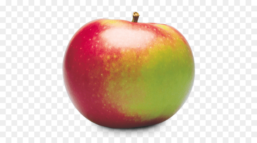 McIntosh red Apple Cortland - apple png download - 500*500 - Free Transparent Mcintosh Red png Download.