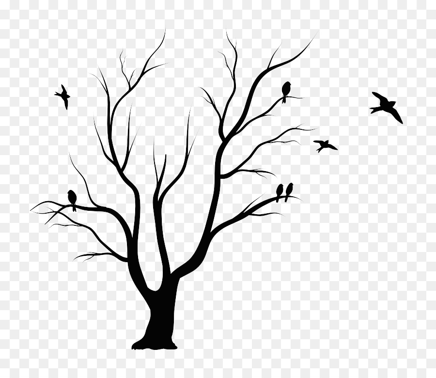 Shadow Of The Apple Tree Leaf Drawing - tree png download - 800*774 - Free Transparent Tree png Download.