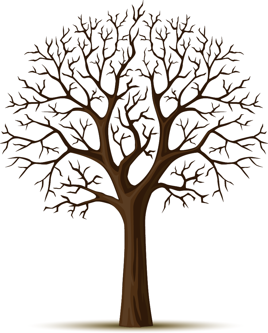 Wall decal Tree Sticker - Apple Tree png download - 874*1087 - Free ...