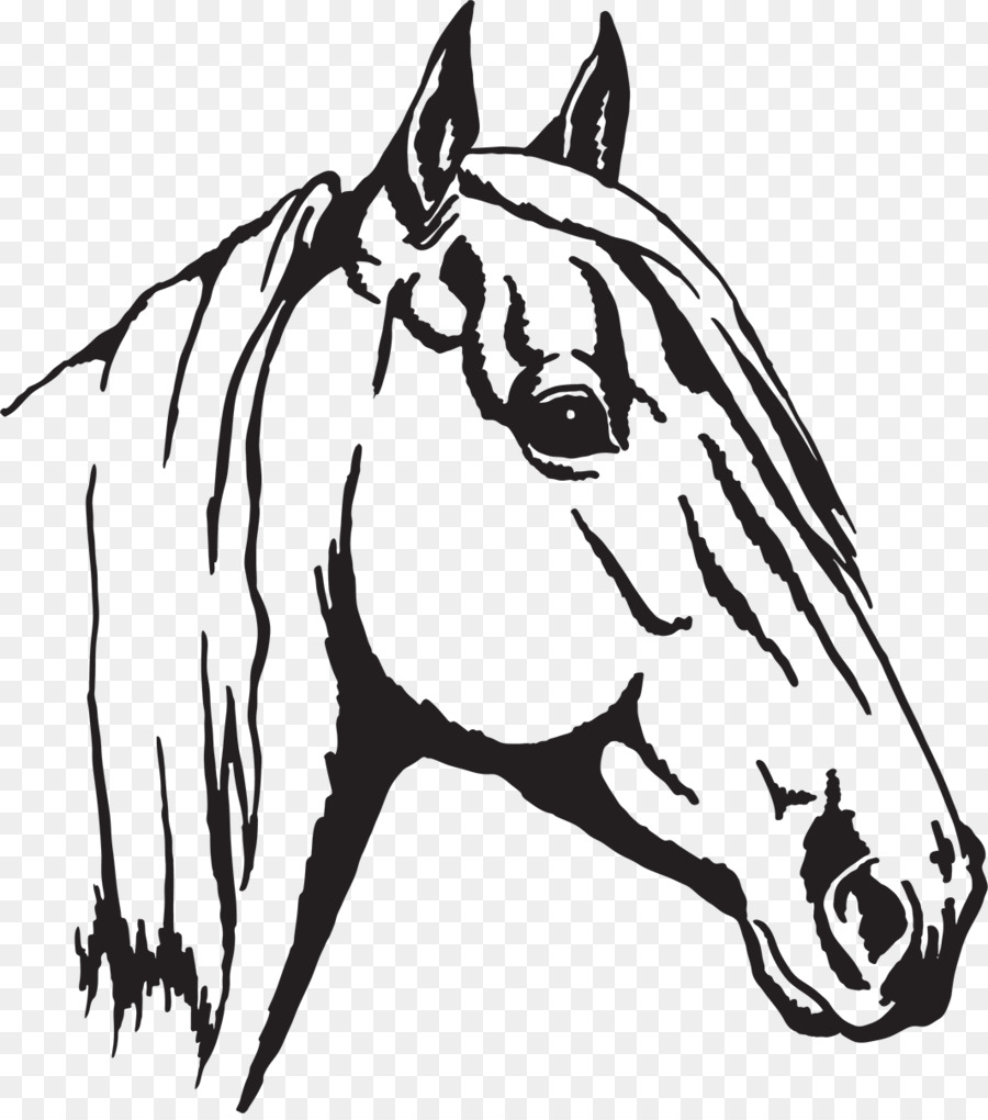 Arabian horse Appaloosa Horse head mask Clip art - horse head png download - 1065*1200 - Free Transparent Arabian Horse png Download.