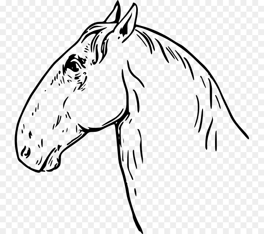 Arabian horse American Quarter Horse Horses Horse head mask Clip art - others png download - 799*800 - Free Transparent Arabian Horse png Download.