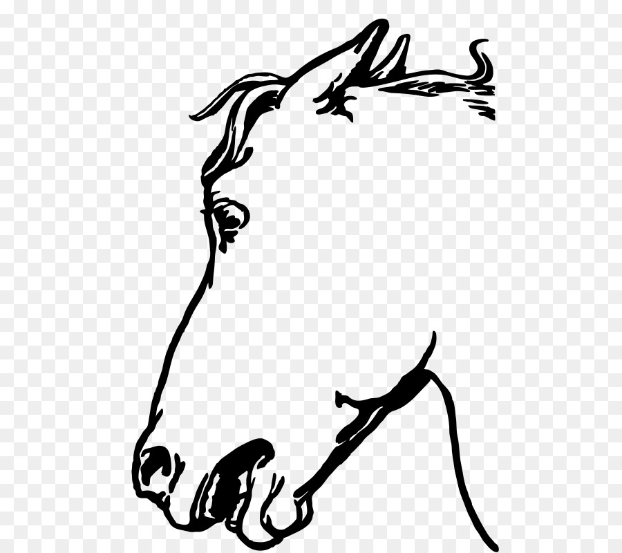 Arabian horse Cat Horse head mask Clip art - other vector png download - 545*800 - Free Transparent Arabian Horse png Download.