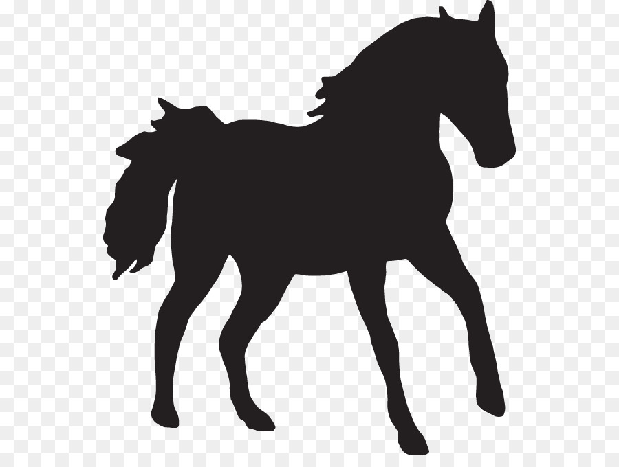 Arabian horse Stallion Mare Clydesdale horse Scalable Vector Graphics - cowboy and horse silhouette png download - 600*663 - Free Transparent Arabian Horse png Download.