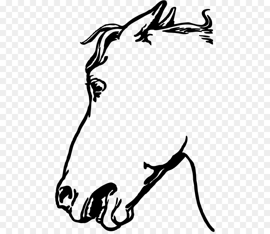 Mustang Arabian horse Horse head mask Stallion Clip art - donkey face png download - 533*773 - Free Transparent Mustang png Download.