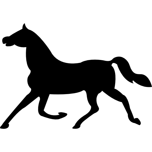 icon png arabic horse
