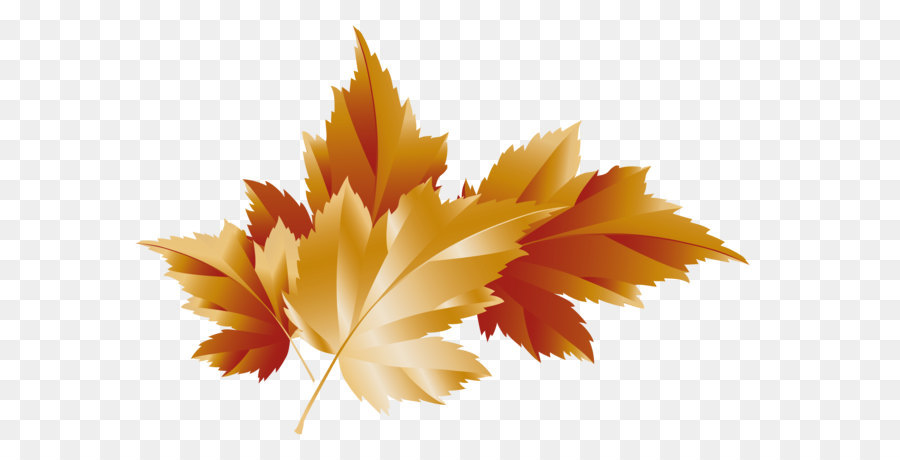 Autumn Clip art - Fall Transparent Leaves Decor Picture png download - 4773*3308 - Free Transparent Autumn png Download.