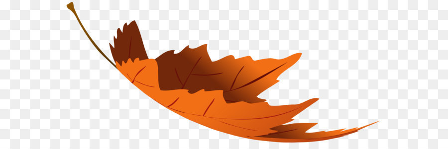Autumn leaf color Clip art - Falling Autumn Leaf Transparent PNG Clip Art Image png download - 6000*2683 - Free Transparent Leaf png Download.
