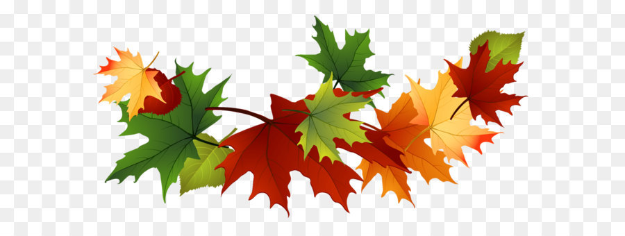 Autumn leaf color Clip art - Fall Transparent Leaves Clipart png download - 1328*672 - Free Transparent Autumn png Download.