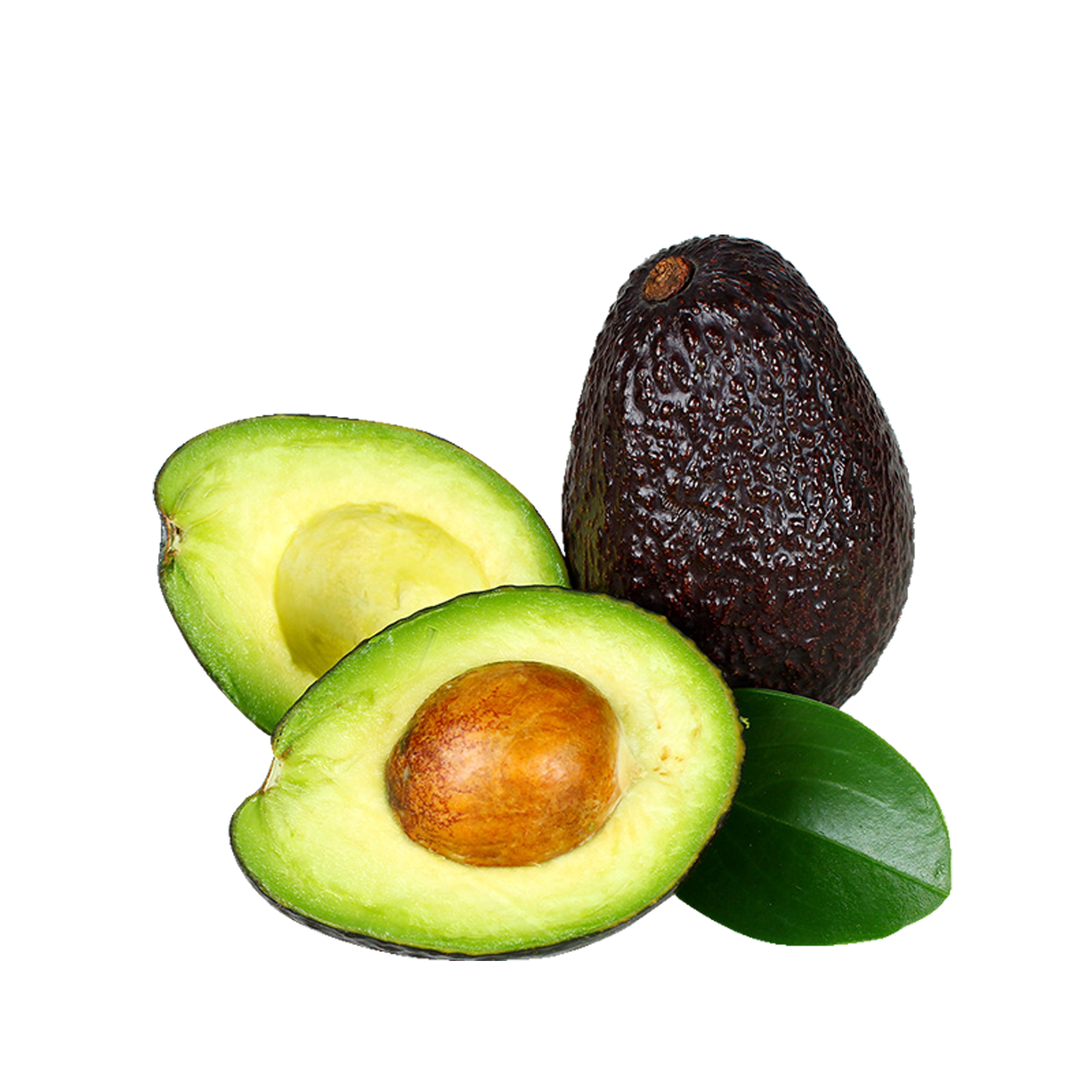 Avocado Food Fruit Hair - Avocado png download - 1667*1667 - Free ...