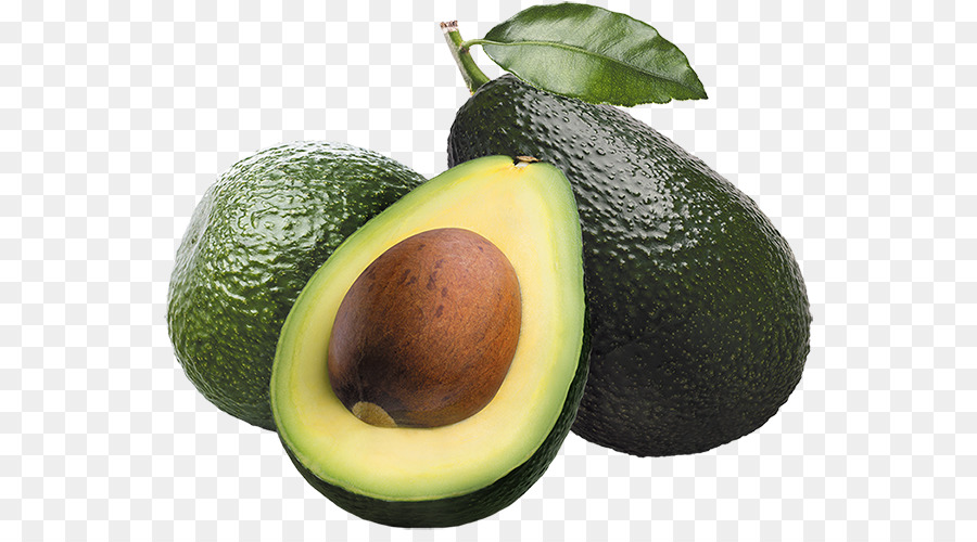Avocado Clip art - avocado png download - 600*489 - Free Transparent Avocado png Download.