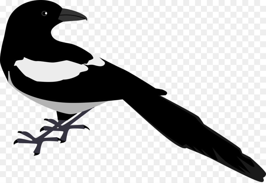 Eurasian Magpie Bird Clip art - Bird png download - 2400*1646 - Free Transparent Eurasian Magpie png Download.