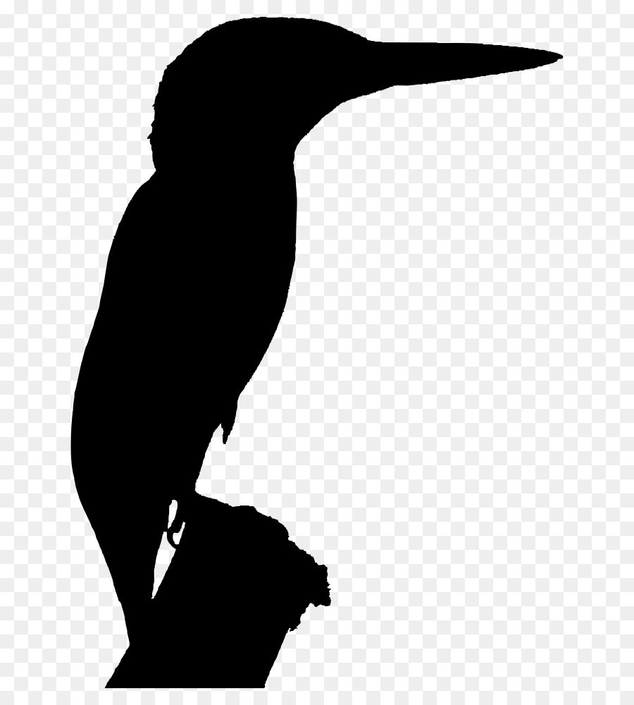 Silhouette Belted kingfisher Clip art - Silhouette png download - 734*1000 - Free Transparent Silhouette png Download.