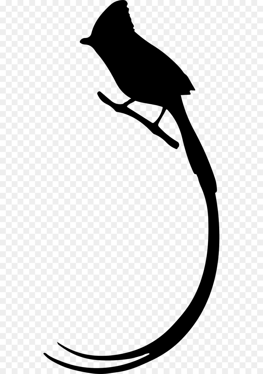 Bird Penguin Silhouette Tail Clip art - Bird png download - 640*1280 - Free Transparent Bird png Download.