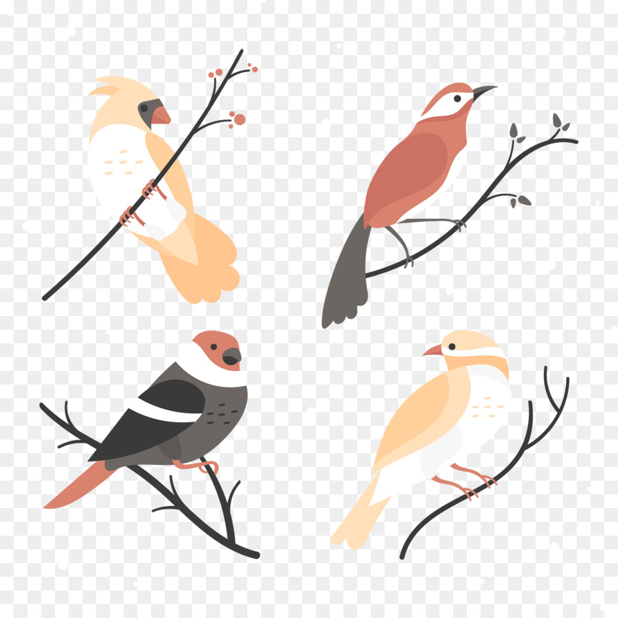 Bird Eurasian magpie Vector graphics Design - baby bird png download - 2500*2500 - Free Transparent Bird png Download.