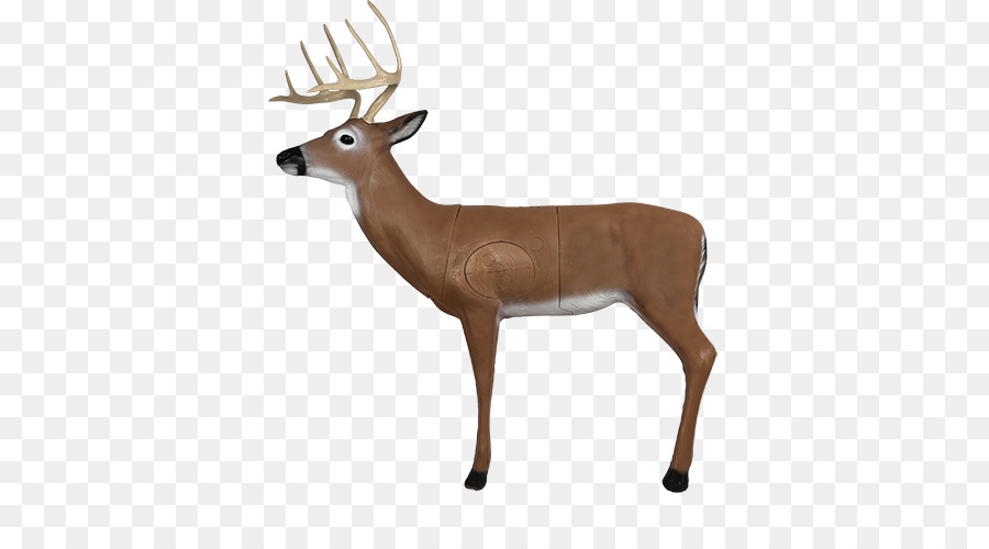 White-tailed deer Target archery Roe deer - archery target png download - 500*500 - Free Transparent Whitetailed Deer png Download.