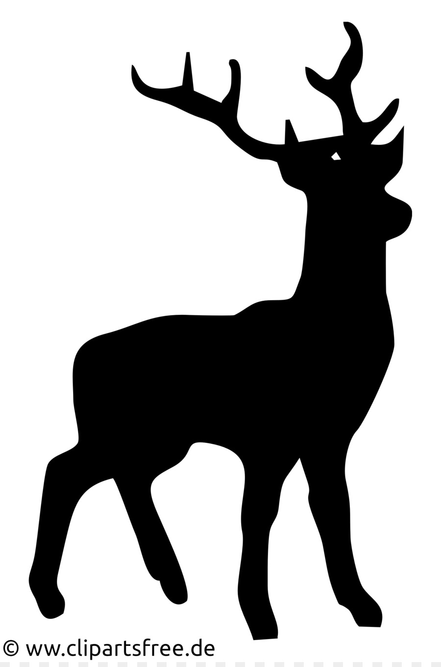 White-tailed deer Faline Red deer - color raindrop png download - 678* ...