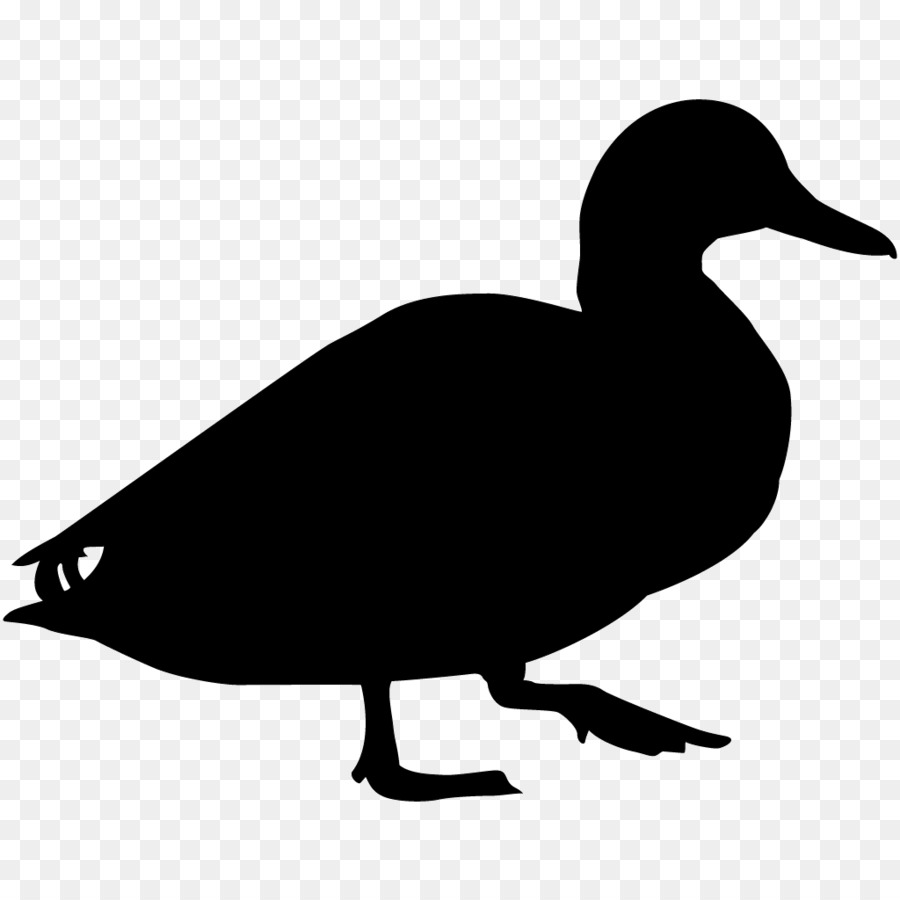 Duck Bird Goose Mallard Cornell Lab of Ornithology - duck png download - 1024*1024 - Free Transparent Duck png Download.