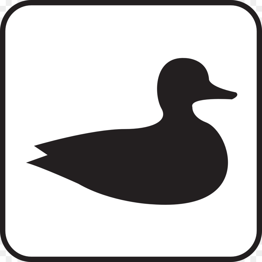 Duck Bird Waterfowl hunting Anseriformes Clip art - duck png download - 1920*1920 - Free Transparent Duck png Download.