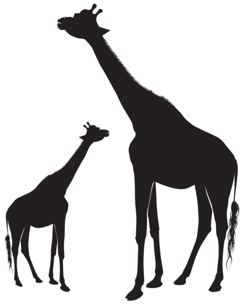 Clip art Baby Giraffe Silhouette Image Vector graphics - Silhouette png ...