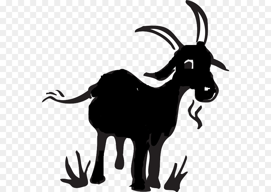 Black Bengal goat Boer goat Drawing Cartoon Clip art - Goat farm png download - 622*640 - Free Transparent Black Bengal Goat png Download.