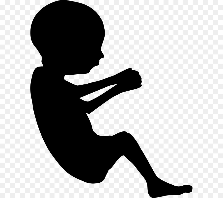 Fetus Pregnancy Silhouette Infant - pregnancy png download - 655*800 - Free Transparent Fetus png Download.