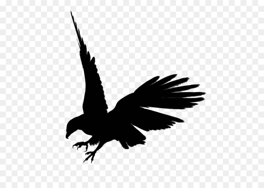 Bald Eagle Bird Clip art - Bird png download - 705*627 - Free Transparent Bald Eagle png Download.