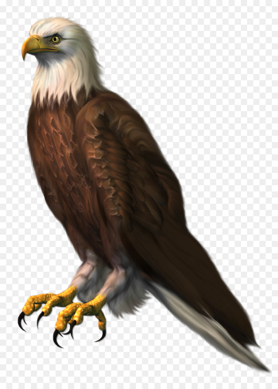 Bald Eagle Bird Clip art - eagle png download - 963*1328 - Free Transparent Bald Eagle png Download.